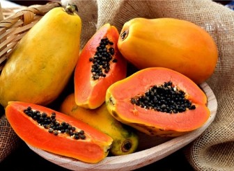 Papaya Sustenance, Wellbeing Properties, And Advantages