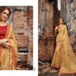 Sarees for a Glamorous traditional blend